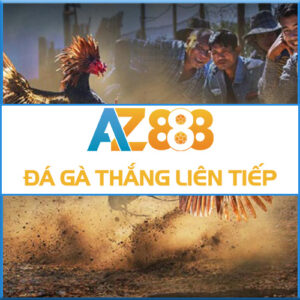 Đá Gà Thắng Liên Tiếp