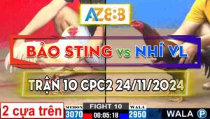 Trận 10 CPC2 24/11/2024 - Bảo Sting Chấp Ngông, Nhưng Thắng Đẳng Cấp