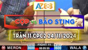 Trận 11 CPC2 24/11/2024 - Anh Cọp Đá 3 Cước, Bảo Sting Lật Xe