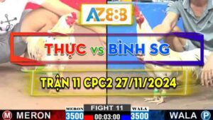 Trận 11 CPC2 27/11/2024 - Gà Anh Bình Sài Gòn Đá Quá Tốc Độ