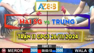 Trận 12 CPC3 26/11/2024 - Gà Bướm Anh Hai Sài Gòn Đá Đâm Như Sát Thủ