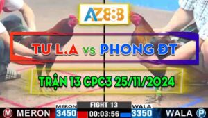 Trận 13 CPC3 25/11/2024 - Gà Anh Tư Long An Nhấc Chân Là Có Cựa