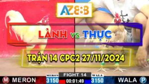 Trận 14 CPC2 27/11/2024 - Gà Bướm Anh Thực Nạp Đúng 3 Cước