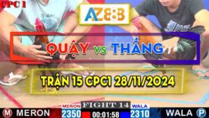 Trận 15 CPC1 28/11/2024 - Gà Anh Quậy Đâm Cựa Quá Dã Man