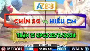 Trận 15 CPC3 25/11/2024 - Gà Anh Chín Sài Gòn Đâm Cựa Như Máy Khâu