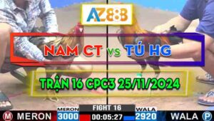 Trận 16 CPC3 25/11/2024 - Gà Anh Tú Hậu Giang Lội Ngược Dòng Ngoạn Mục