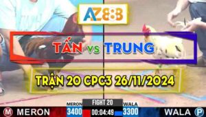 Trận 20 CPC3 26/11/2024 - Gà Anh Tấn Đá Chưa Tới 1 Tay Nước