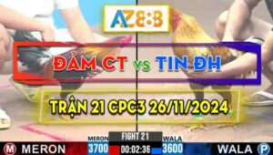 Trận 21 CPC3 26/11/2024 - Gà Anh Đảm Cần Thơ Đá Đâm Như Giang Hồ