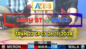 Trận 22 CPC3 26/11/2024 - Gà Anh Minh Bến Tre Trên Màu Đá Như Súng Bắn