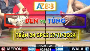 Trận 24 CPC2 27/11/2024 - Gà Anh Đen Toàn Đá Đâm Đầu Cần