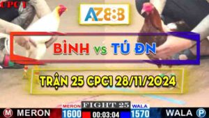 Trận 25 CPC1 28/11/2024 - Gà Anh Bình Tải Cựa Quá Hay