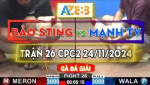 Trận 26 Giải CPC2 24/11/2024 - Gà Bảo Sting Đá Khó Chịu Vô Cùng