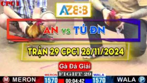 Trận 29 Giải CPC1 29/11/2024 - Anh Tú Đồng Nai Hạ Anh An Lấy 3 Điểm Đầu