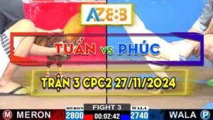 Trận 3 CPC2 27/11/2024 - Gà Anh Tuấn Có Pha Lội Ngược Dòng Ngoạn Mục