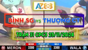 Trận 31 Giải CPC3 25/11/2024 - Gà Linh Của Anh Bình Sài Gòn Đá Quá Khiếp