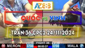 Trận 36 CPC2 24/11/2024 - Anh Quốc Dí Bạc Anh Vinh Còn Ăn 4