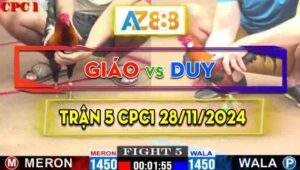 Trận 5 CPC1 28/11/2024 - Gà Anh Giáo Đá Cái Bo Quá Lực