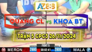 Trận 5 CPC3 26/11/2024 - Gà Anh Khoa Bến Tre Đá Cựa Đâm Như Máy Khâu