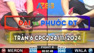 Trận 6 CPC2 24/11/2024 - Gà Úa Hiệu Của Anh Phước Đồng Tháp Ra Trận