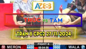 Trận 8 CPC2 27/11/2024 - Gà Anh Tám Chấp 5 Chấm Mà Đá Quá Thấm