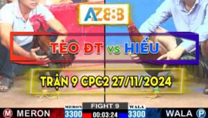 Trận 9 CPC2 27/11/2024 - Gà Anh Tèo Đồng Tháp Có Chân Xạo Lờ