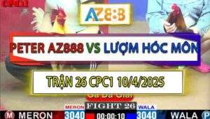 Trận 26 CPC1 10/4/2025 - Peter AZ888 Và Chị Lượm Hóc Môn